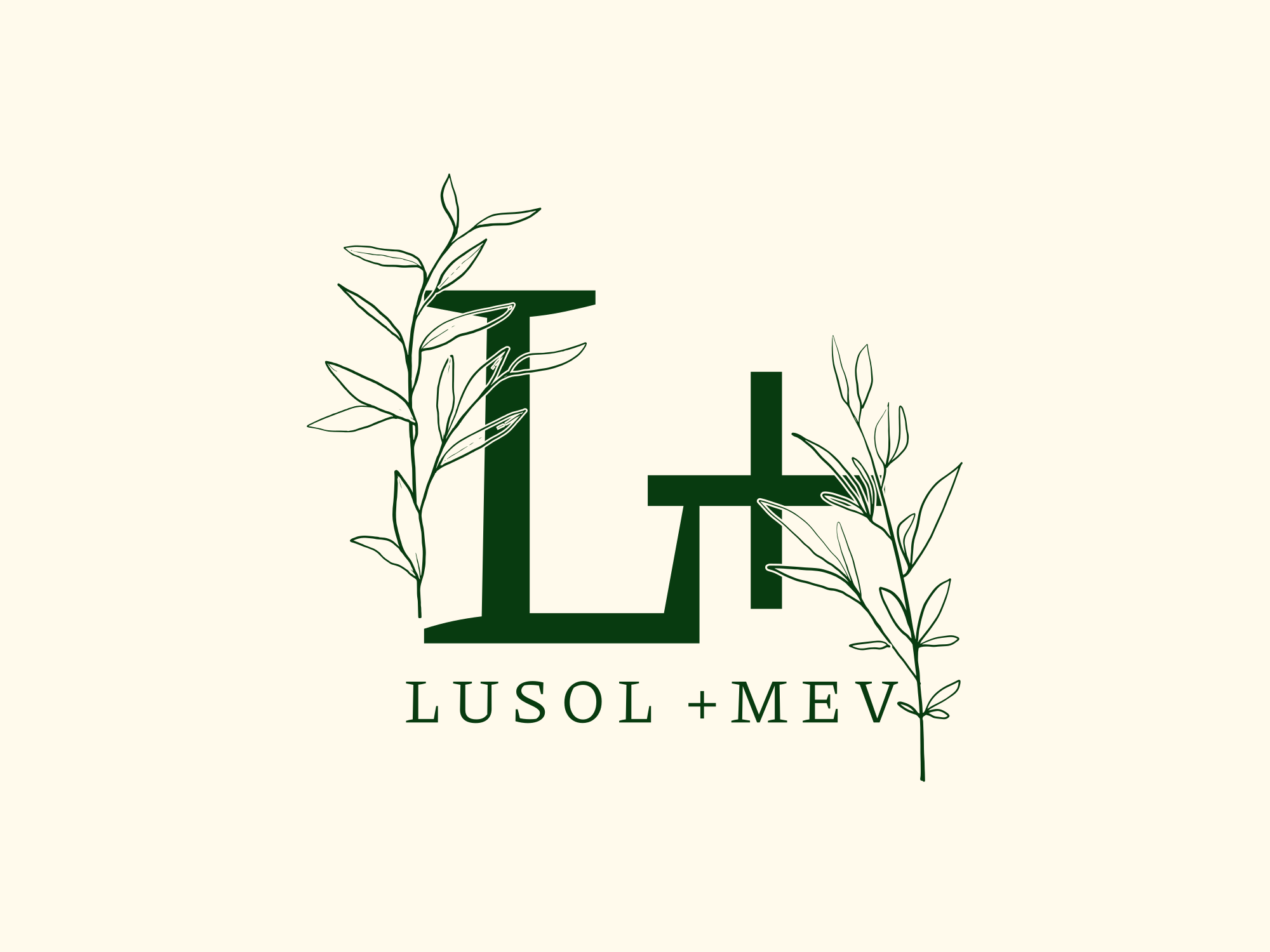 LuSOL +MEV